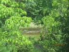 kiamichi river view from the gallery